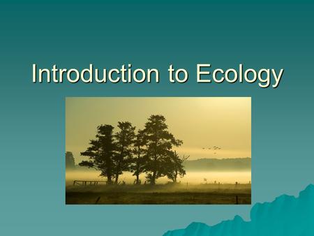 Introduction to Ecology