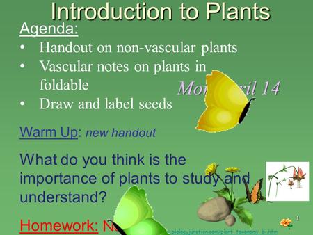 Introduction to Plants