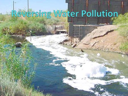 Water Facts: ______ of the Earth is covered by water but only ________ is _____________________water One litre of _______________ pollutes about ______.