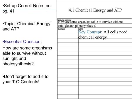 4.1 Chemical Energy and ATP