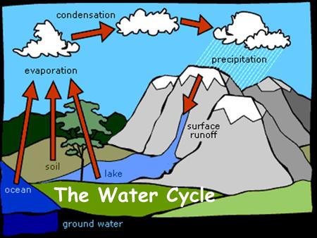 The Water Cycle.