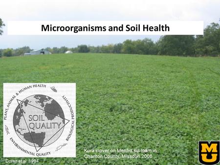 1 Kura clover on Menfro silt loam in Chariton County, Missouri 2006 Microorganisms and Soil Health Doran et al. 1994.