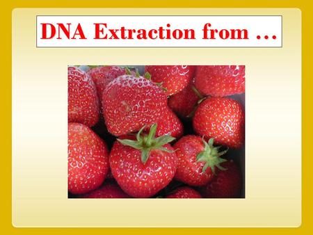 DNA Extraction from ….