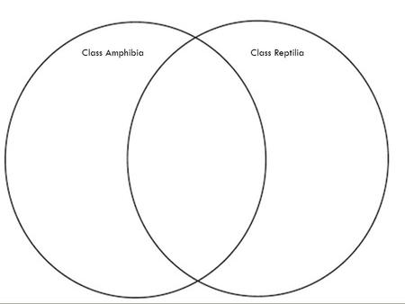 Class AmphibiaClass Reptilia. What characteristic of the reptile allows it to be successful on land? The Amniotic Egg.