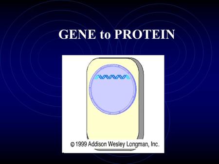 GENE to PROTEIN. Garrod (1909) hypothesized that the symptoms of an inherited disease reflect a person’s inability to make a particular enzyme. The breakthrough.