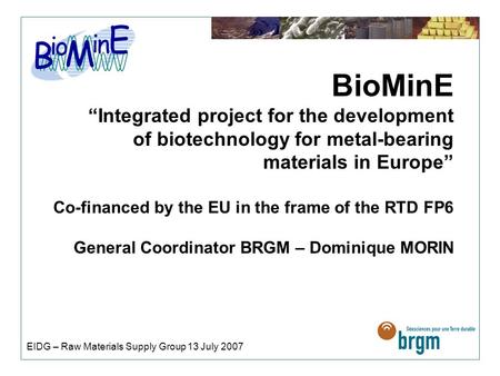 BioMinE “Integrated project for the development of biotechnology for metal-bearing materials in Europe” Co-financed by the EU in the frame of the RTD FP6.