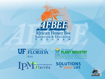 Living with Africanized Bees Michael K. O’Malley, AFBEE Program Coordinator, Jamie Ellis, UF Assistant Professor of Entomology,