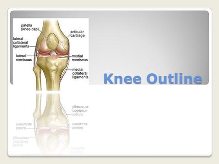 Knee Outline.