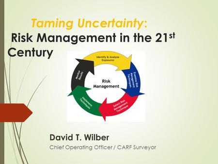 Taming Uncertainty : Risk Management in the 21 st Century David T. Wilber Chief Operating Officer / CARF Surveyor.