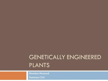 GENETICALLY ENGINEERED PLANTS Momina Masood Sumaiya Gul.