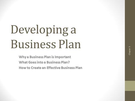 Developing a Business Plan