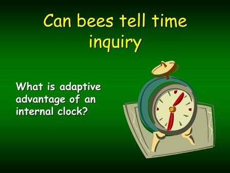 Can bees tell time inquiry What is adaptive advantage of an internal clock?