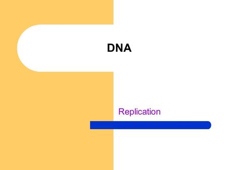 DNA Replication.