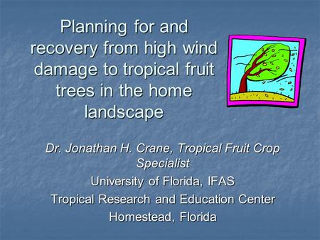 Planning for and recovery from high wind damage to tropical fruit trees in the home landscape Dr. Jonathan H. Crane, Tropical Fruit Crop Specialist University.