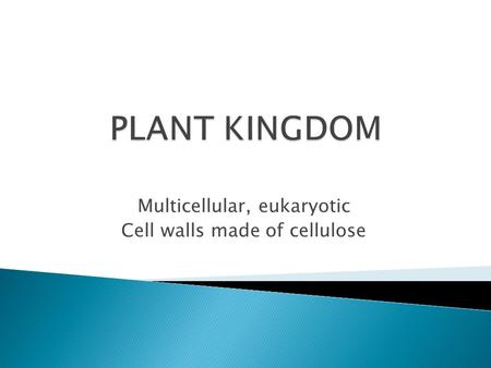 Multicellular, eukaryotic Cell walls made of cellulose.