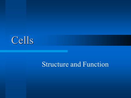 Structure and Function