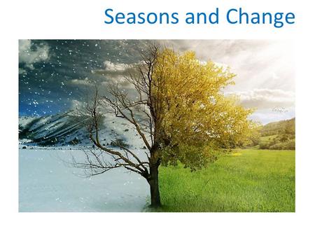 Seasons and Change. S1-4-05a Explain the apparent motion of the Sun, stars, planets, and the Moon as seen from Earth. S1-4-06a Differentiate between units.