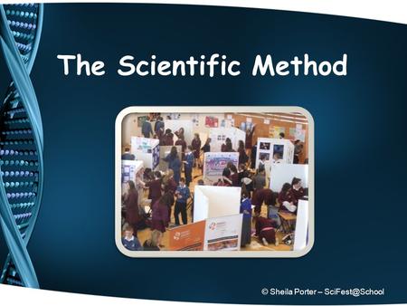 The Scientific Method © Sheila Porter –