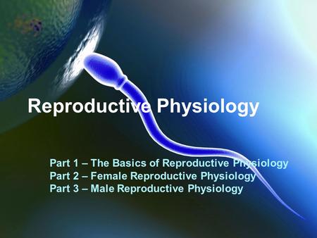 Reproductive Physiology