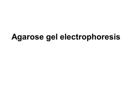 Agarose gel electrophoresis