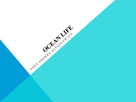 OCEAN LIFE SARA AREDDA ALYLOUCH 5°C THE SHARK The sharks don’t live in groups, they live alone. They eat turtles, seals and fish. They don’t lay eggs,