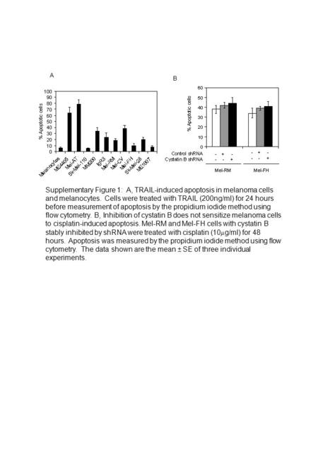 A B Supplementary Figure 1: A, TRAIL-induced apoptosis in melanoma cells and melanocytes. Cells were treated with TRAIL (200ng/ml) for 24 hours before.