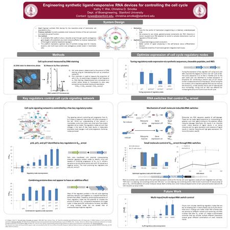 O Goal: Engineer synthetic RNA devices for the reversible arrest of mammalian cell populations in G 0/1. o Previous methods: Currently available small.