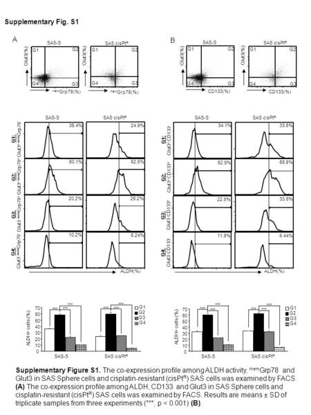 Supplementary Fig. S1 Supplementary Figure S1. The co-expression profile among ALDH activity, mem Grp78 and Glut3 in SAS Sphere cells and cisplatin-resistant.