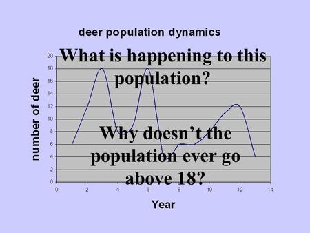 Why doesn’t the population ever go above 18? What is happening to this population?