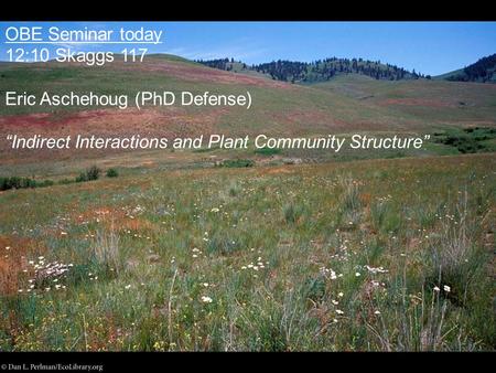 OBE Seminar today 12:10 Skaggs 117 Eric Aschehoug (PhD Defense)