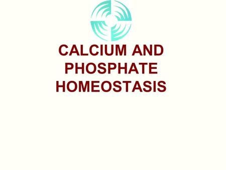 CALCIUM AND PHOSPHATE HOMEOSTASIS. Organs: Parathyroid Four oval masses on posterior of thyroid gland Develops from the 3 rd and 4 th pharyngeal pouches.