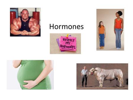 Hormones.