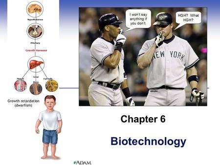 Biotechnology Chapter 6. Central Points  Recombinant DNA technology joins DNA  Biotechnology uses recombinant DNA technology to make products  Bacteria,