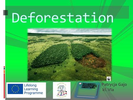 Deforestation Patrycja Gajo kl. VIa. Deforestation is destruction of trees.