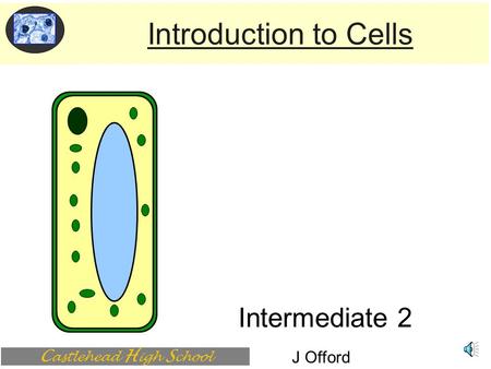 C astlehead H igh S chool Intermediate 2 Introduction to Cells J Offord.