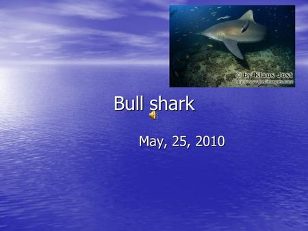 Bull shark May, 25, 2010 May, 25, 2010 Introduction Do you know what lives under the water, has a big habitat, and is dangerous… a bull shark! In this.