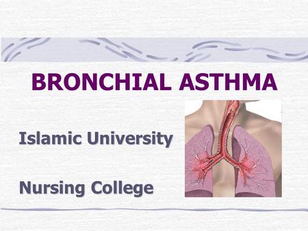 BRONCHIAL ASTHMA Islamic University Nursing College.