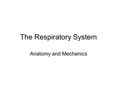 The Respiratory System