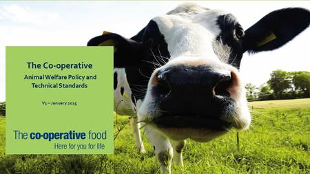 The Co-operative Animal Welfare Policy and Technical Standards V1 – January 2015.