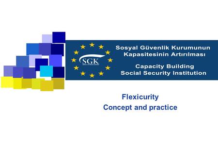 Flexicurity Concept and practice. 2 Subjects Definition of flexicurity Flexibility: different interests of employees and employers Flexibility: economic.