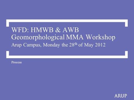 WFD: HMWB & AWB Geomorphological MMA Workshop Arup Campus, Monday the 28 th of May 2012 Process.