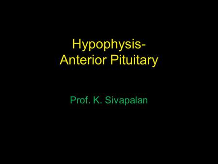 Hypophysis- Anterior Pituitary