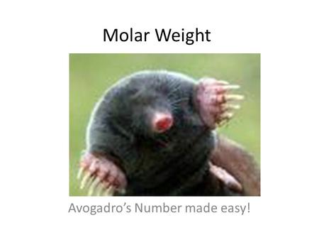 Molar Weight Avogadro’s Number made easy!. Warm Up 1.How do you count large numbers of atoms and molecules? 2.What is a mole? 3.How many things are in.