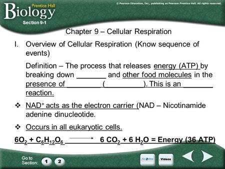 Chapter 9 – Cellular Respiration