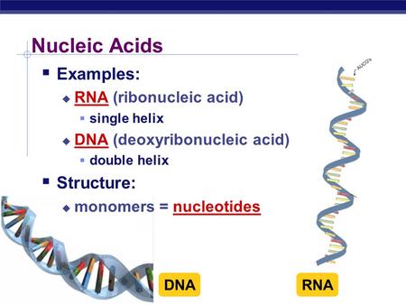 Nucleic Acids Examples: Structure: RNA (ribonucleic acid)