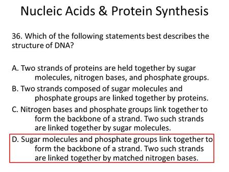 Nucleic Acids & Protein Synthesis