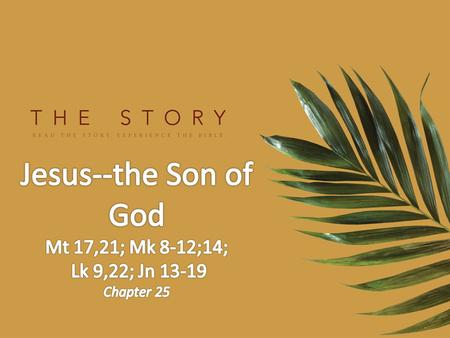 Mark 8:27–29 (NIV) 27 Jesus and his disciples went on to the villages around Caesarea Philippi. On the way he asked them, “Who do people say I am?” 28.