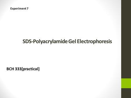 SDS-Polyacrylamide Gel Electrophoresis