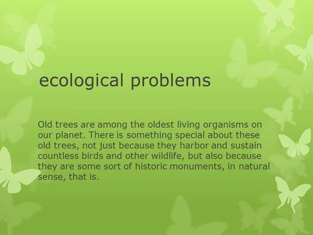 Ecological problems Old trees are among the oldest living organisms on our planet. There is something special about these old trees, not just because they.