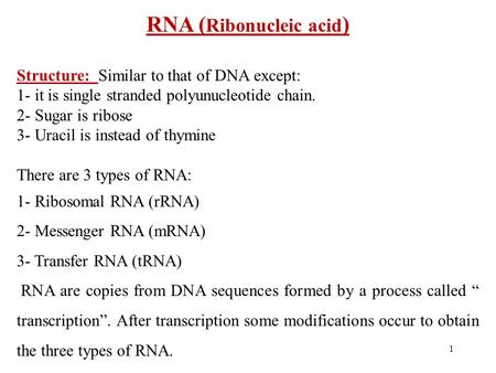 RNA (Ribonucleic acid)